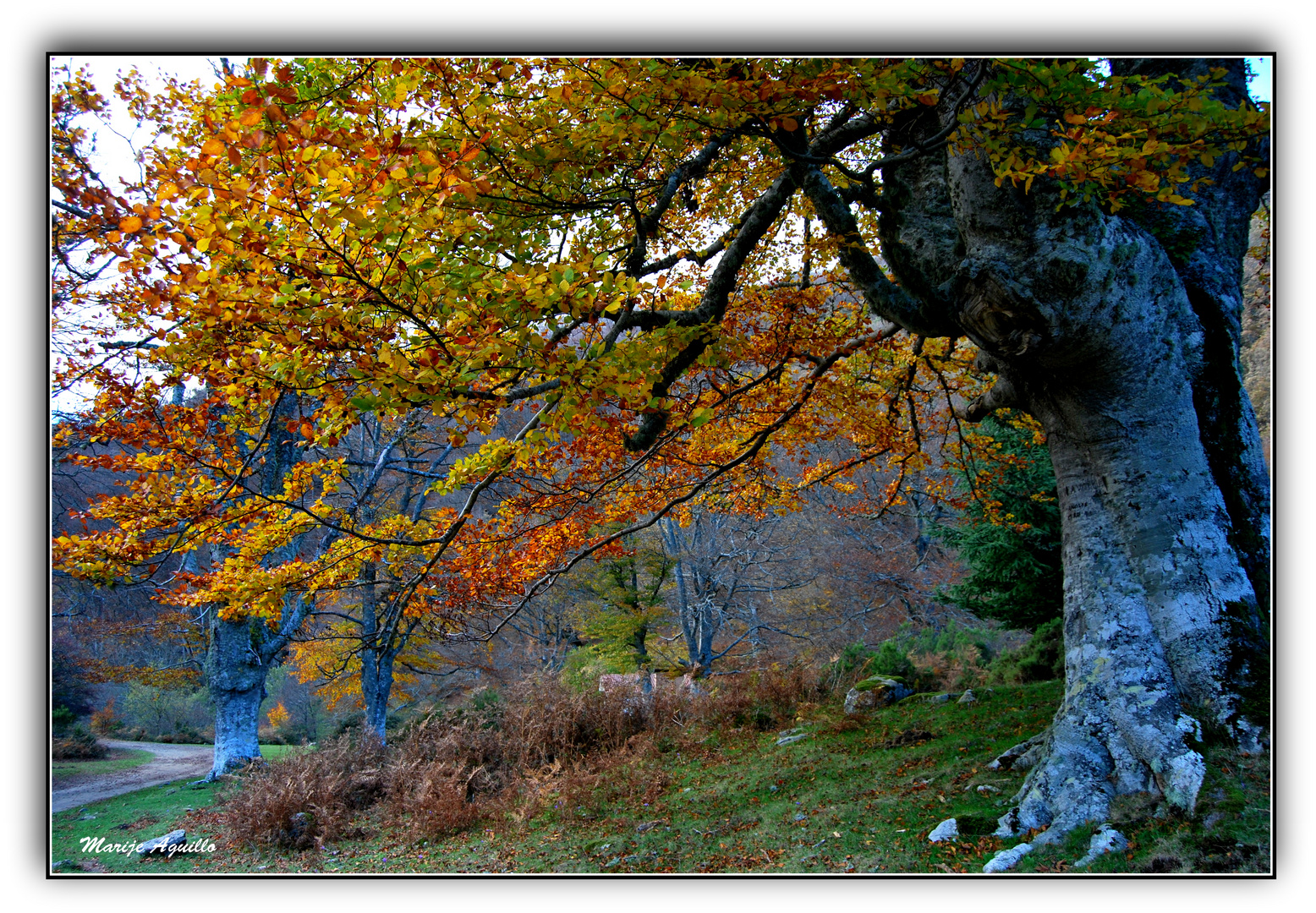 Otoño en la sierra de Gorbeia