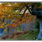 Otoño en la sierra de Gorbeia