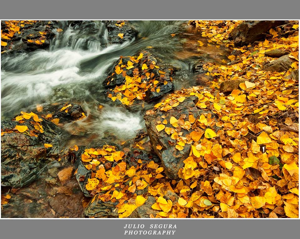 Otoño en la Sierra VI