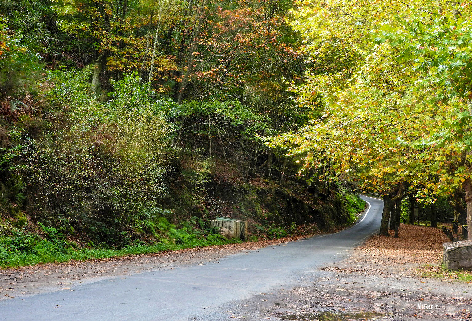 Otoño en las Fragas del Eume