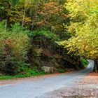 Otoño en las Fragas del Eume