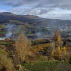 OTOÑO EN LAS HUERTAS DE PRIEGO 