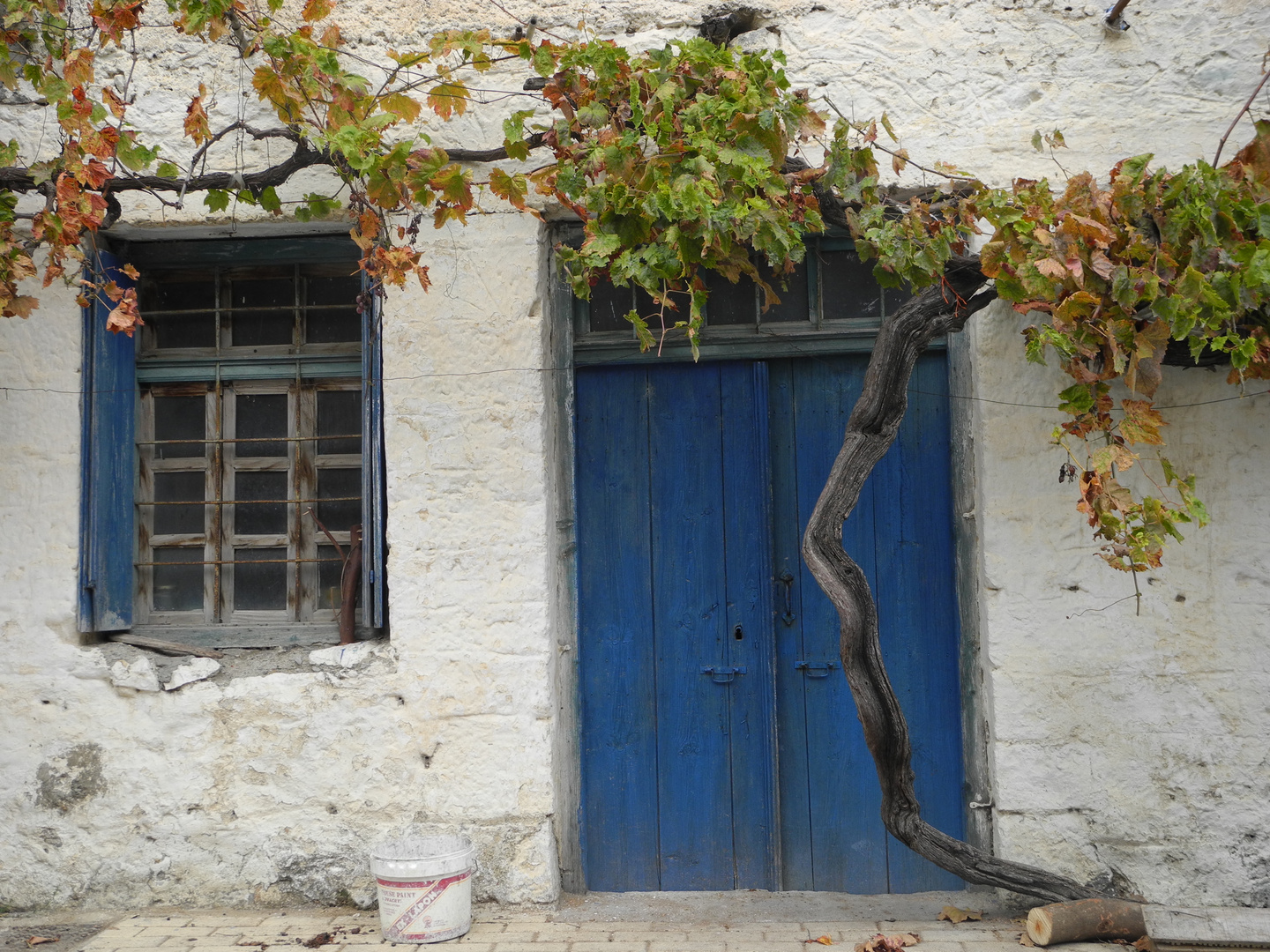 Otoño en las montañas