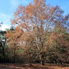 Otoño en las sierras.