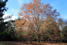 Otoño en las sierras. by Roberto Justo Robiolo 