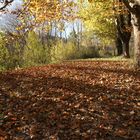 OTOÑO EN LAS SIERRAS DE CORDOBA