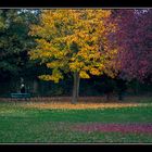 Otoño en Londres