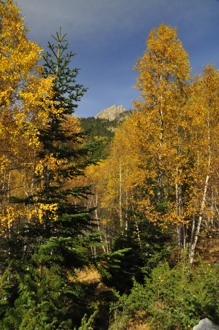 otoño en los 2500