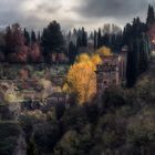 Otoño en los bosques de la Alhambra