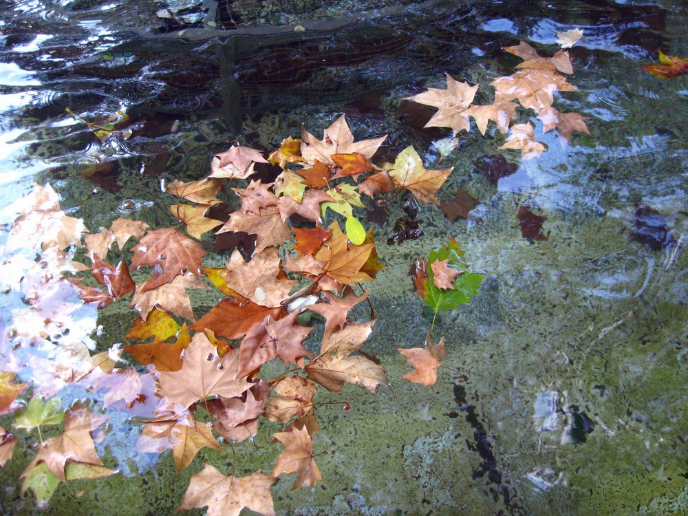 Otoño en Madrid