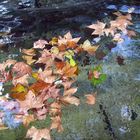 Otoño en Madrid