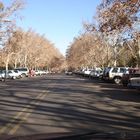 Otoño en Mendoza