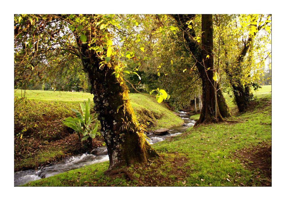 Otoño en Mexico 1