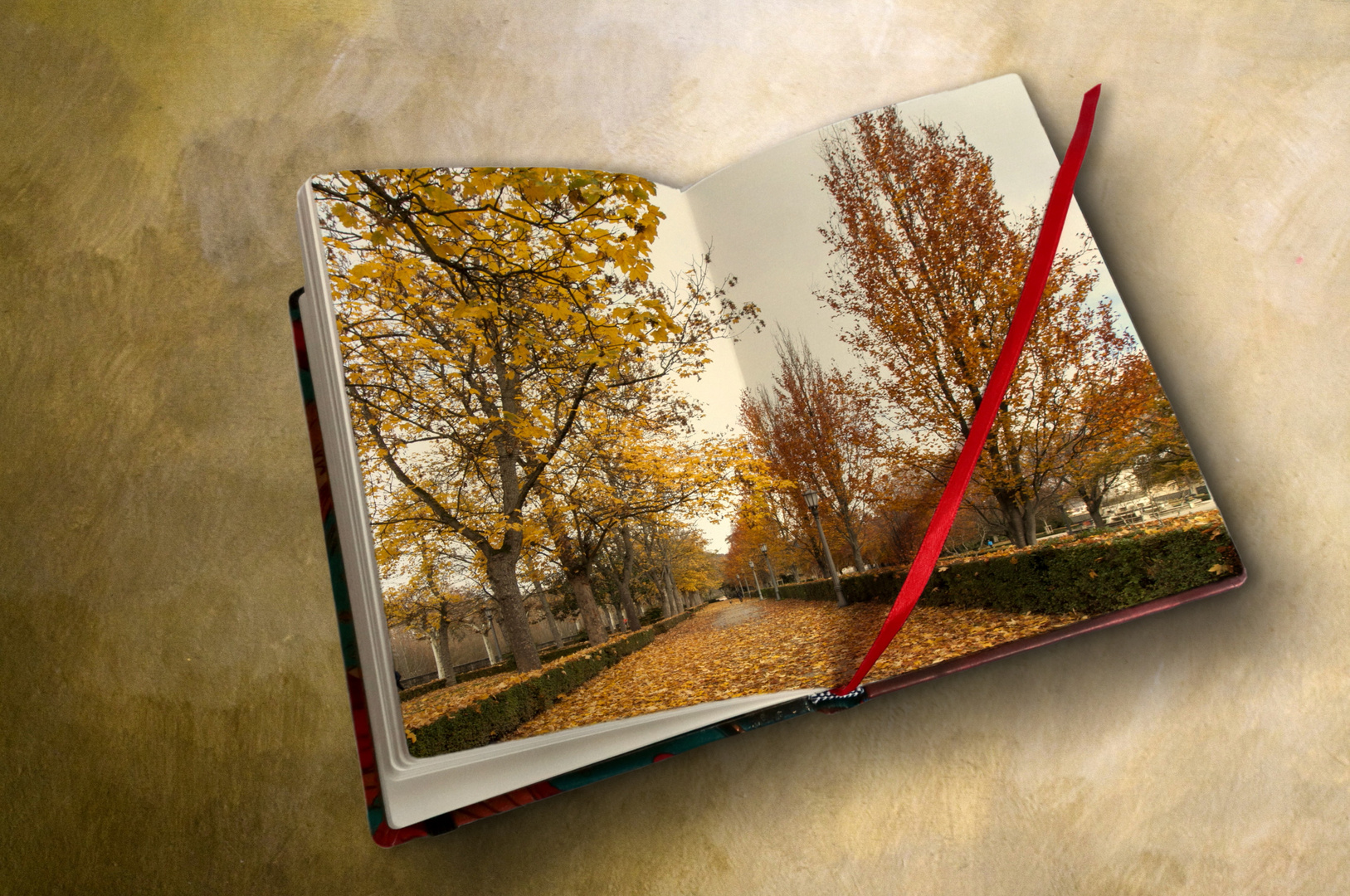 otoño en mi cuaderno