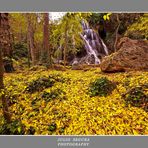 Otoño en Monasterio