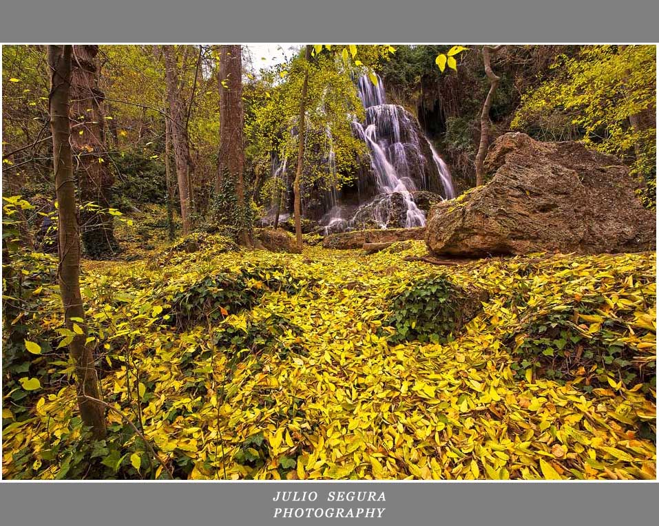 Otoño en Monasterio