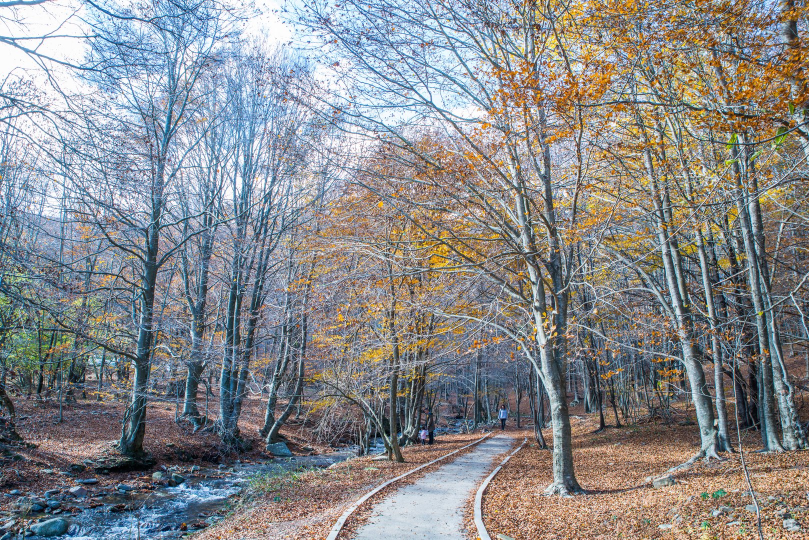 Otoño en Montseny 