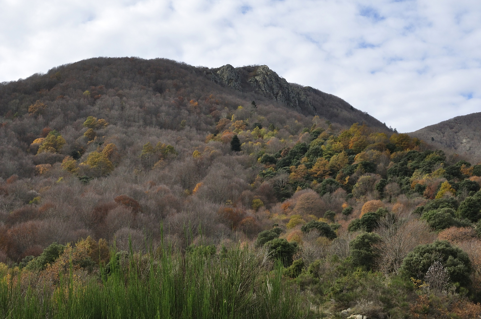 Otoño en montseny