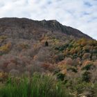 Otoño en montseny