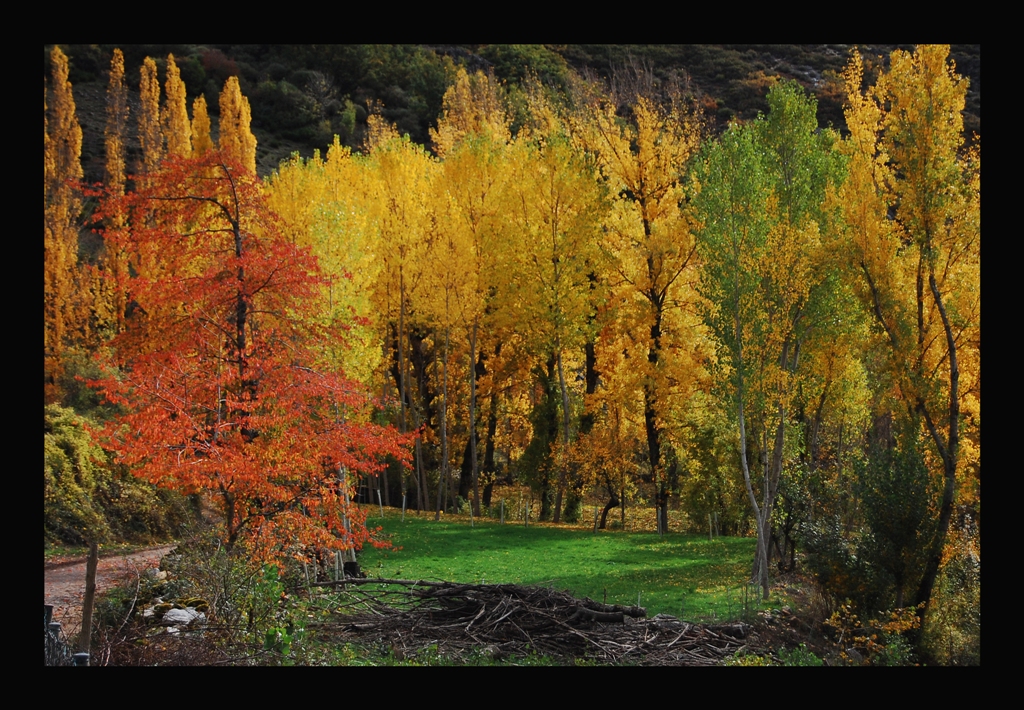 Otoño en Montuerto (León)