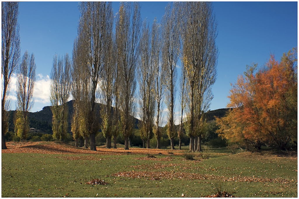 OTOÑO EN NERPIO