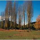 OTOÑO EN NERPIO