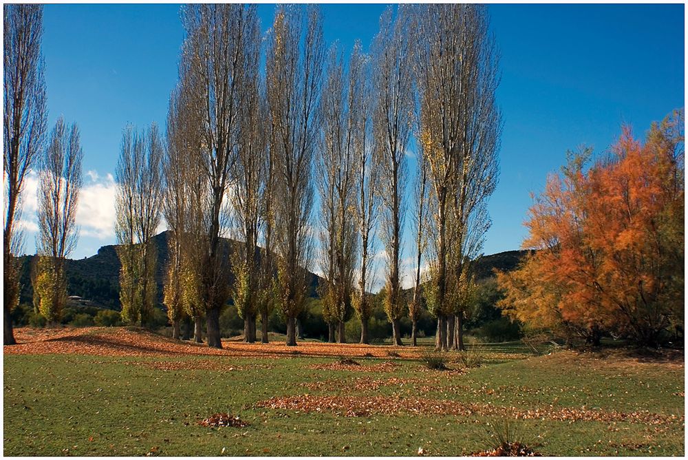 OTOÑO EN NERPIO