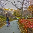 Otoño en Nueva York