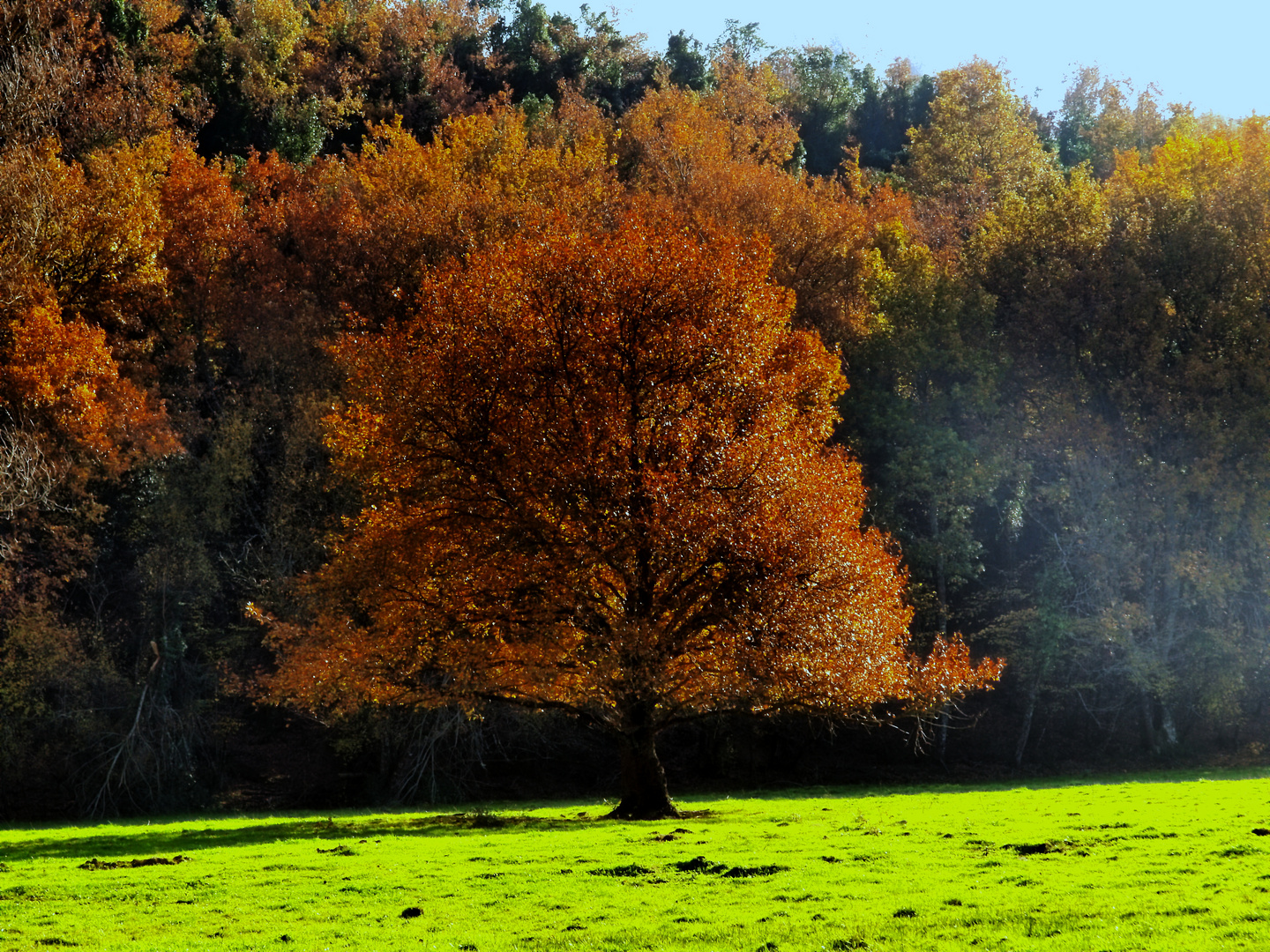 Otoño en Ordunte