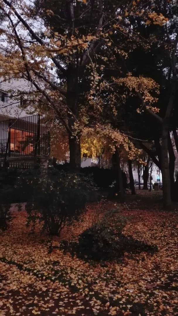 Otoño en Palermo, Buenos Aires