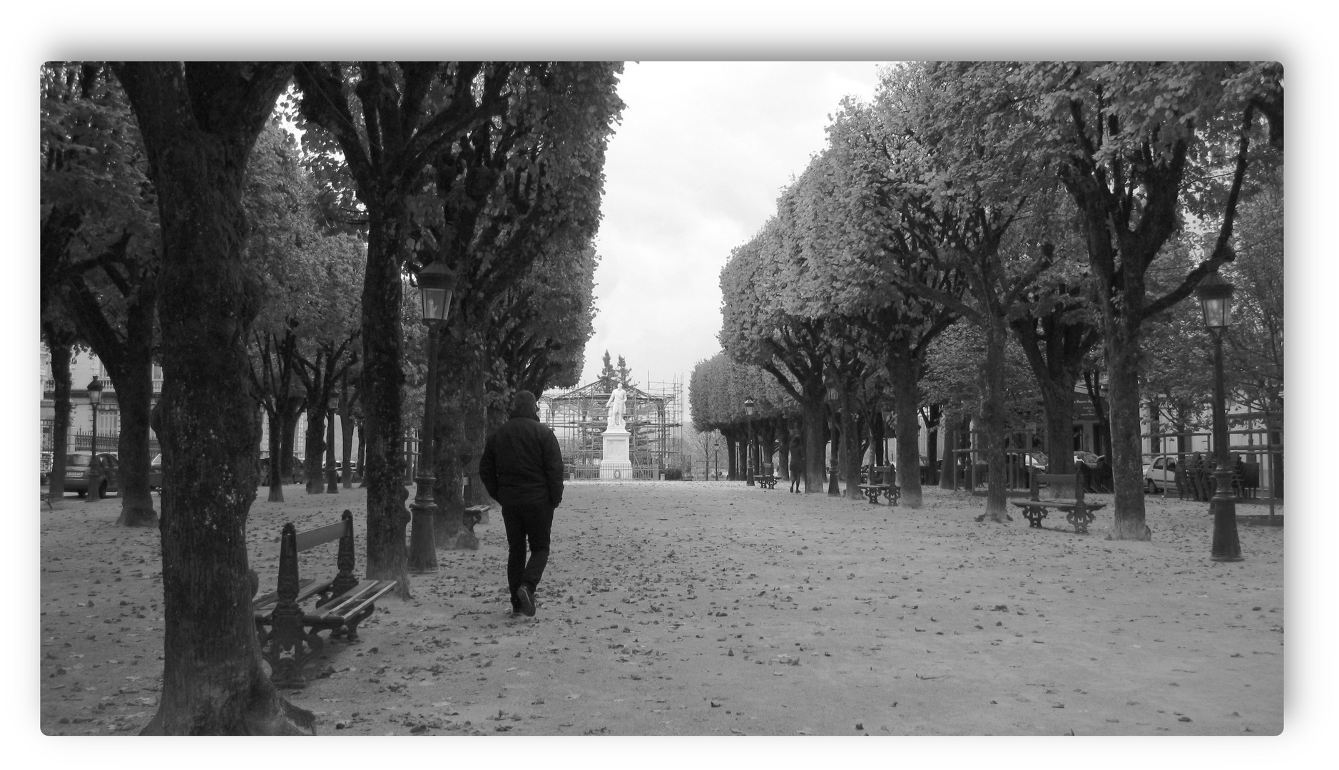 otoño en Pau   (   Francia   )