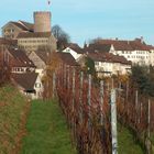 Otoño en Regensberg