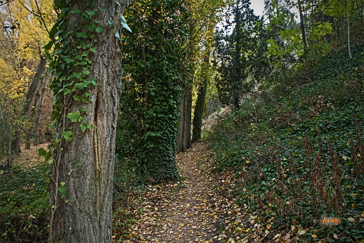 Otoño en Segovia