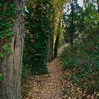 Otoño en Segovia