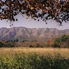 OTOÑO EN TRASLASIERRA