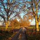 Otoño en Uruguay