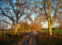 Otoño en Uruguay by Roberto Justo Robiolo 