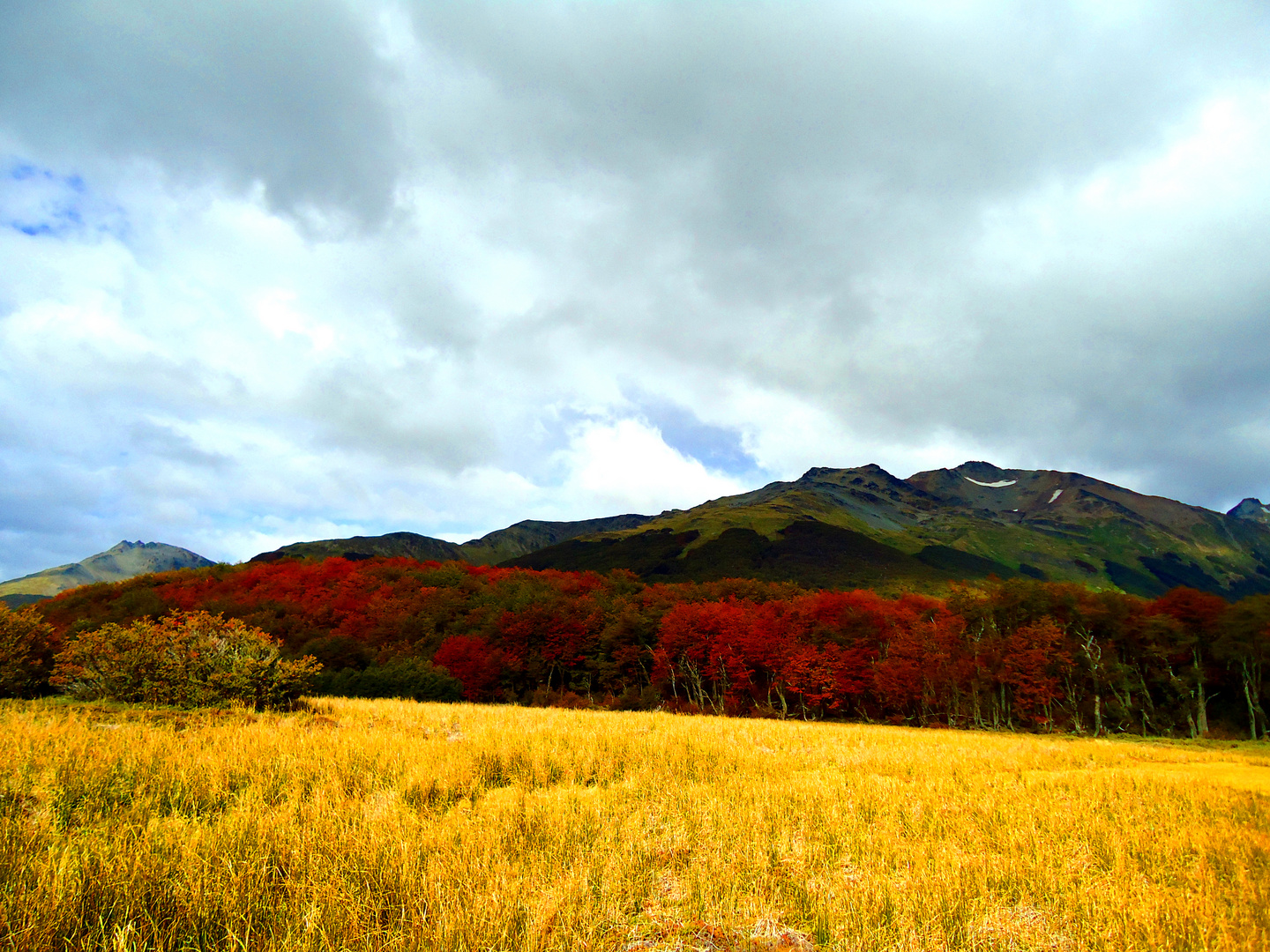 Otoño en Ushuaia