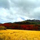 Otoño en Ushuaia