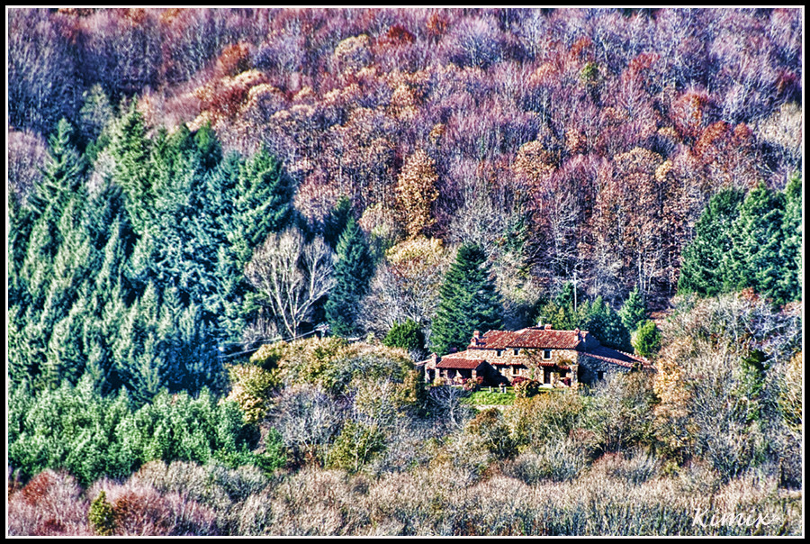 Otoño en versión libre.