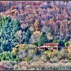 Otoño en versión libre.