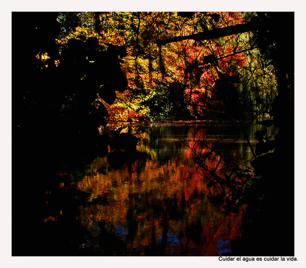 Otoño escondido.