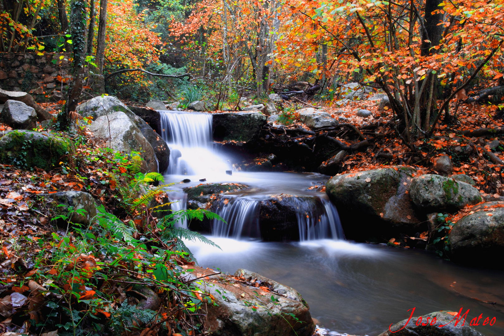 Otoño