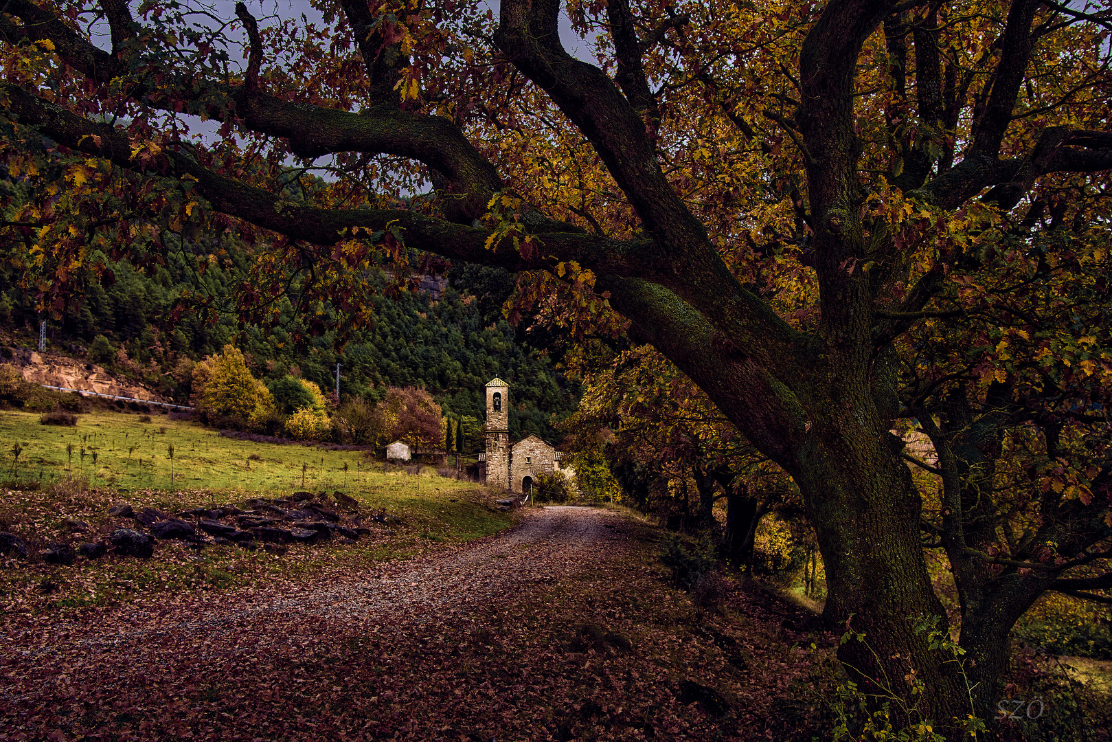 Otoño Frío