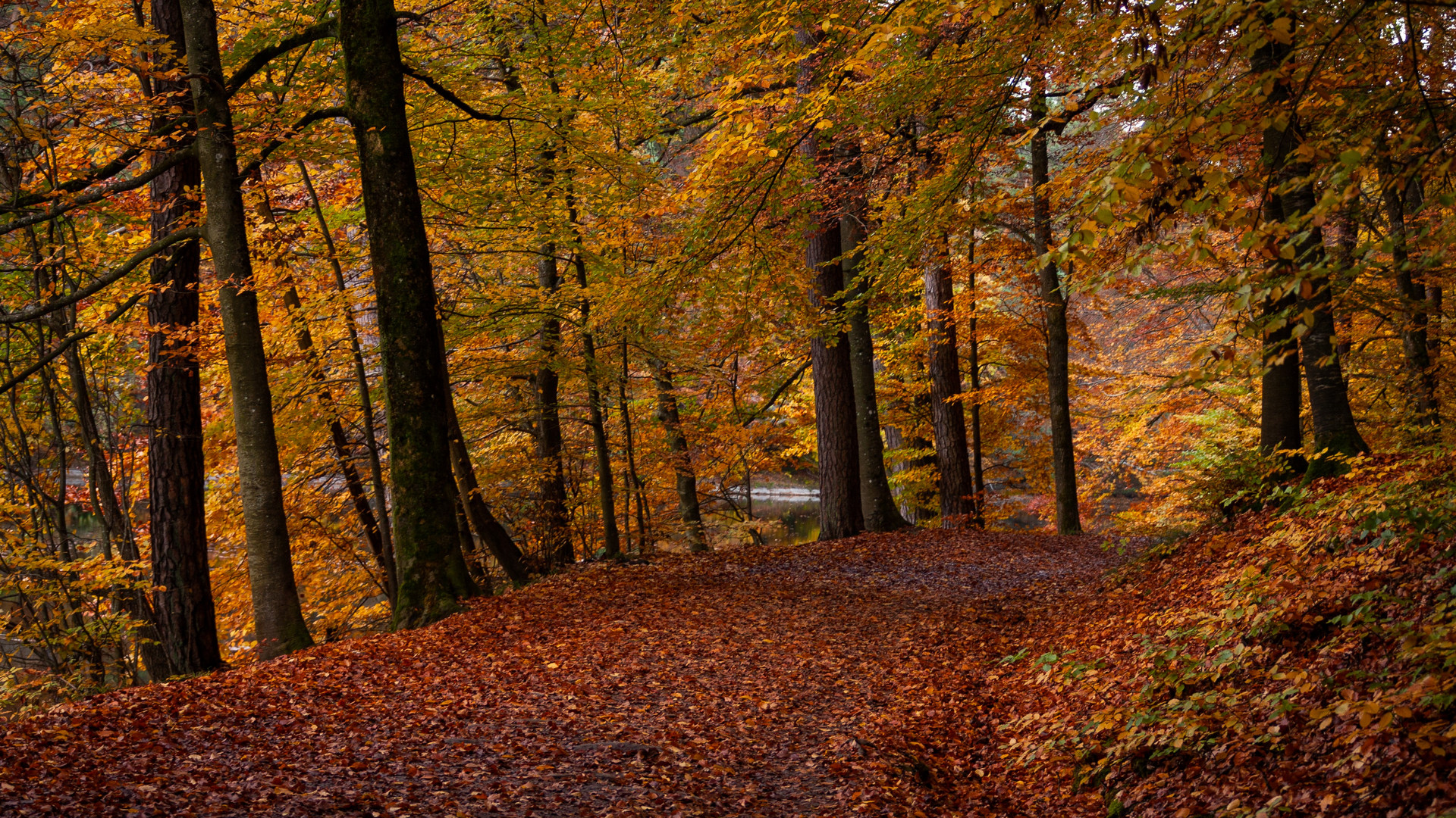 Otoño / Herbst