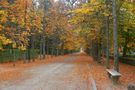 OTOÑO II von ARTURO MEDINA 