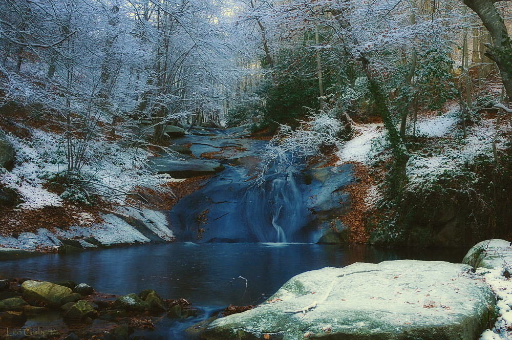 Otoño-Invierno en el Montseny