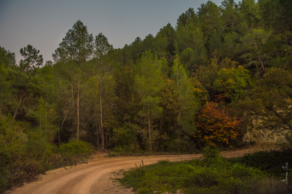 Otoño Maigraniano...