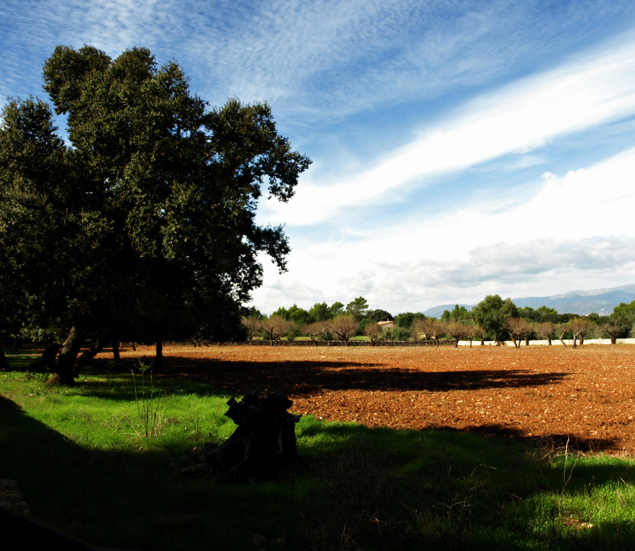 Otoño mallorquín