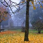 Otoño parque Rosalia de Castro LUGO